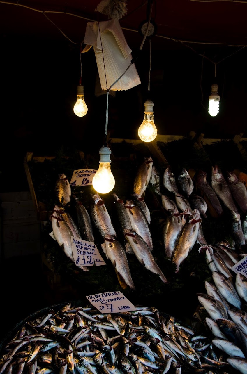 Fish at Galata market