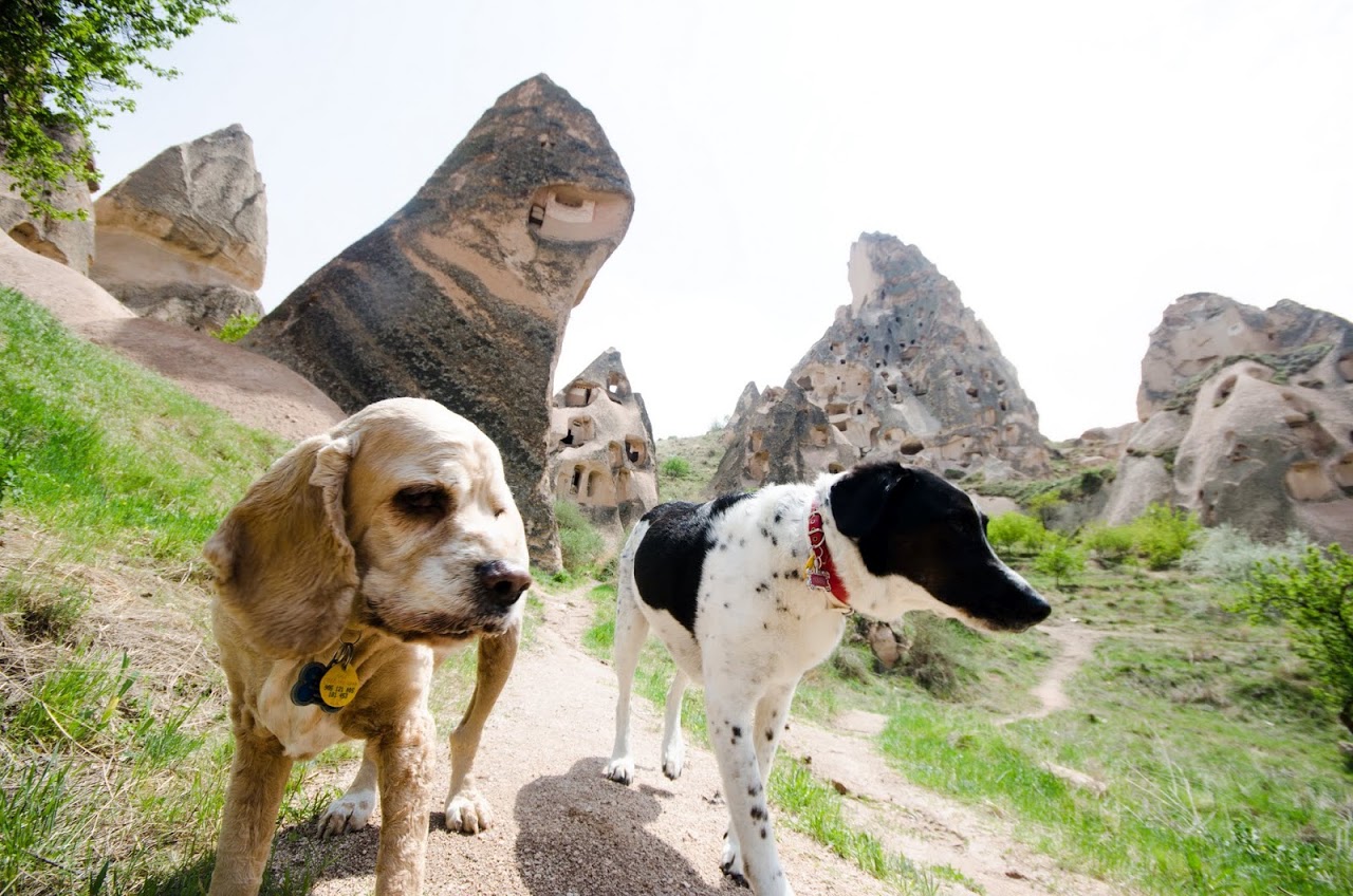 Chewy and Abby in Cappadocia