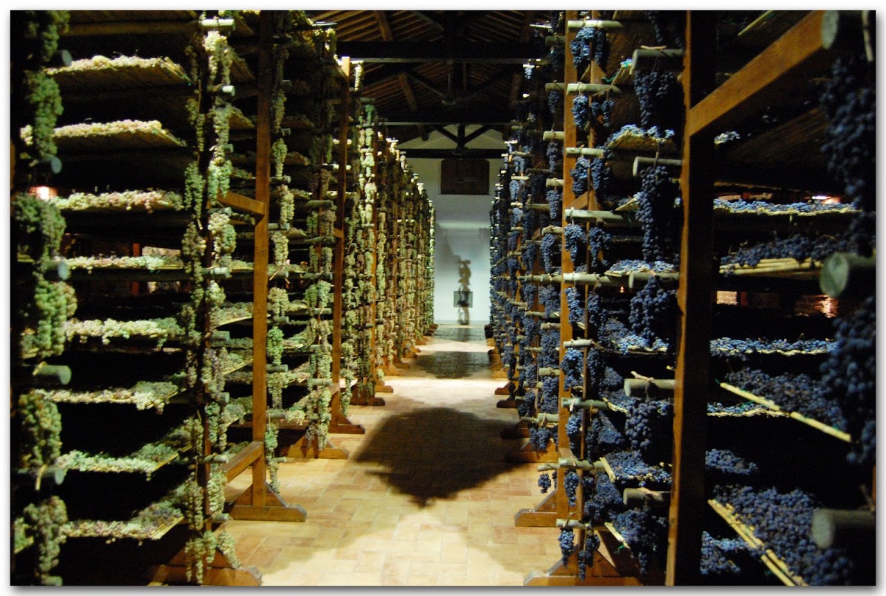 The grape drying room in the Avignonesi winery