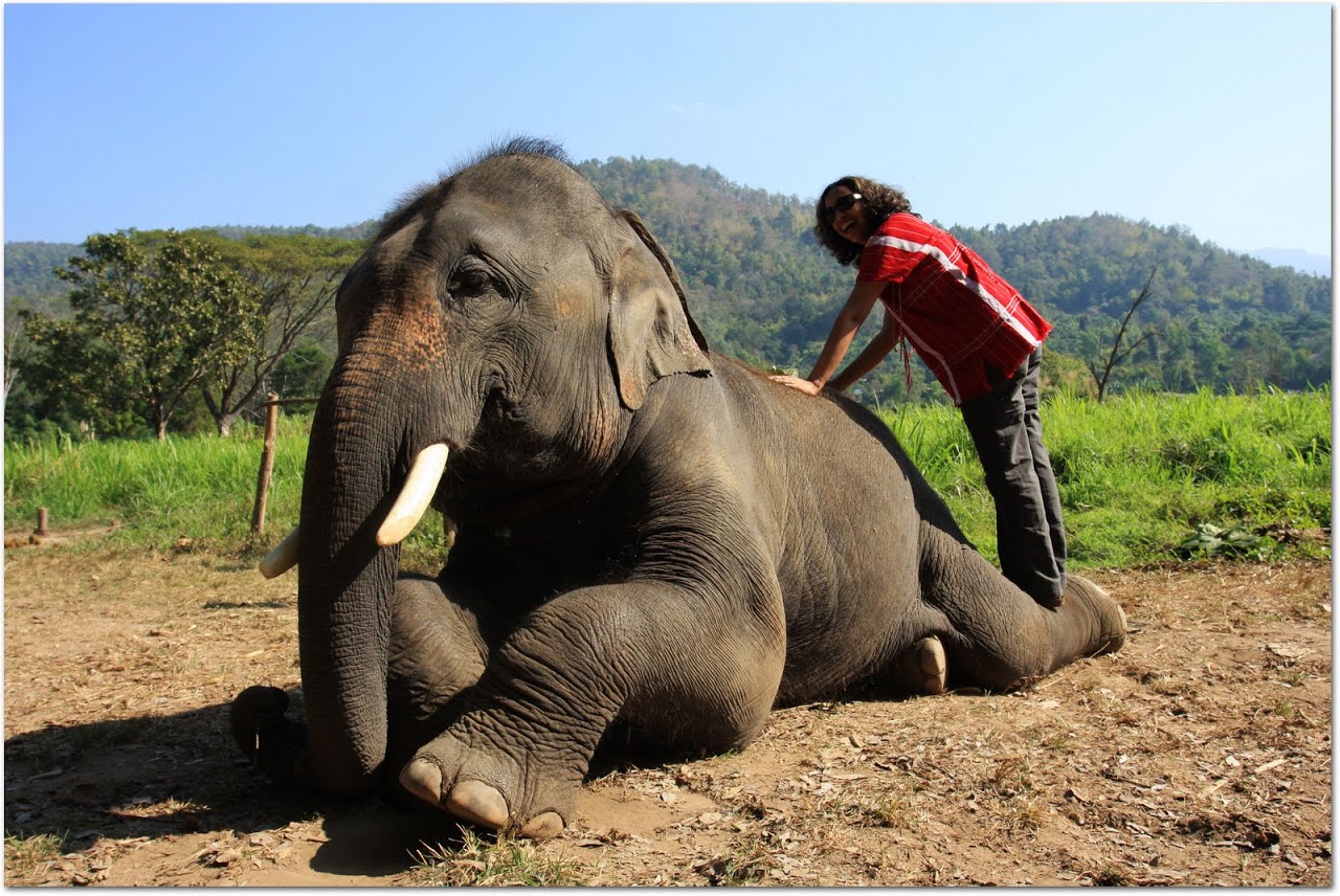Akila dusting elephant