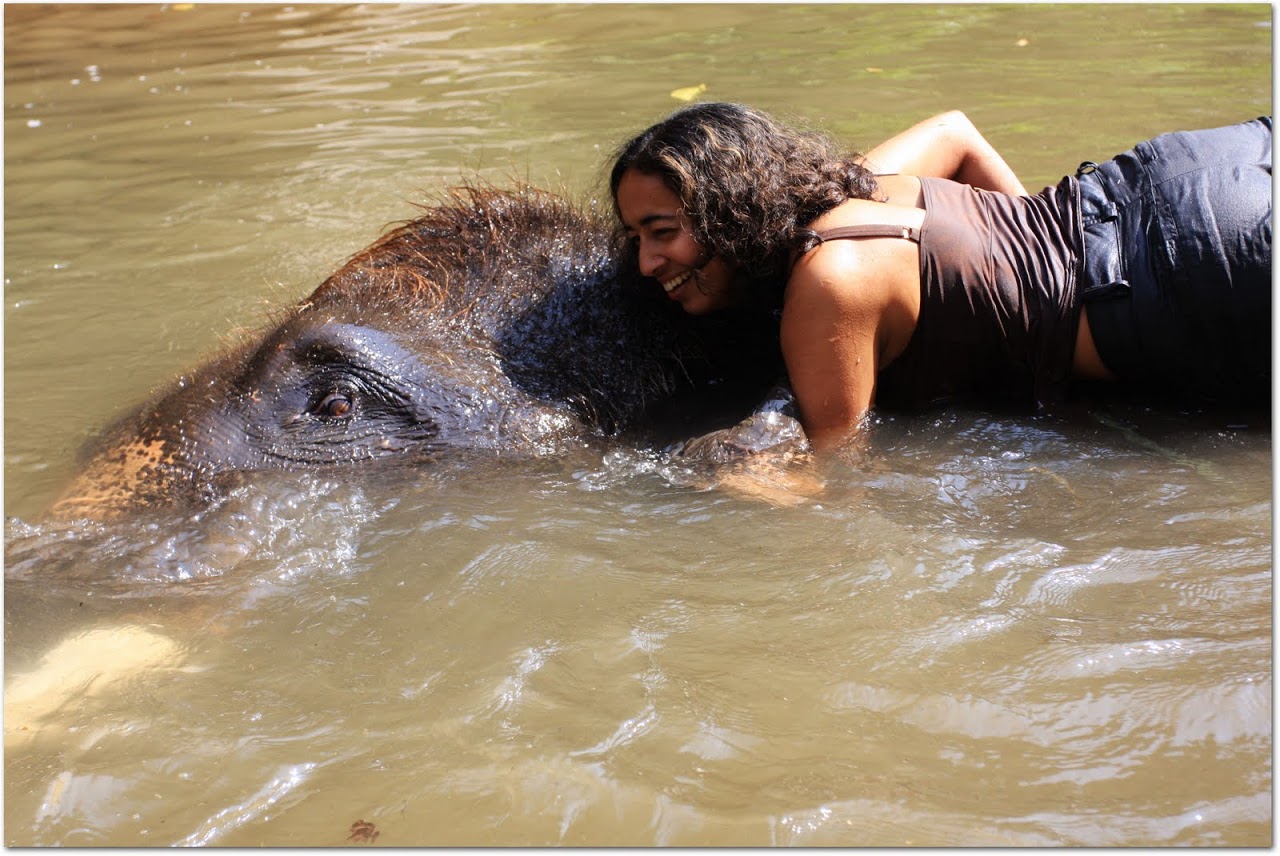 Akila swimming with elephant