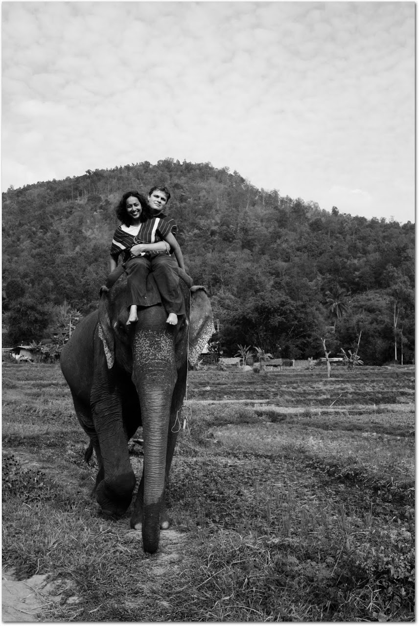 Riding elephant