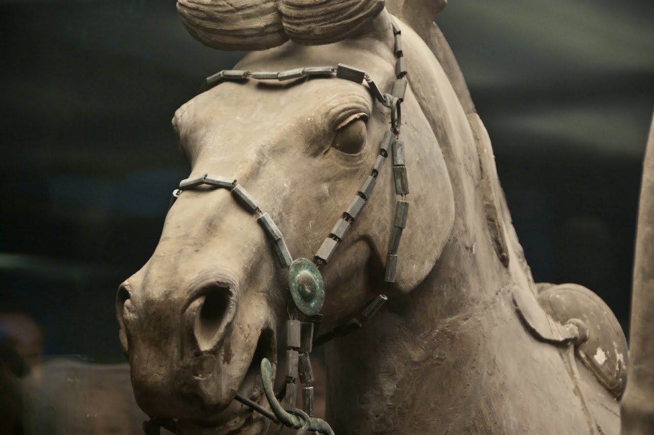 Horse Terracotta Xian