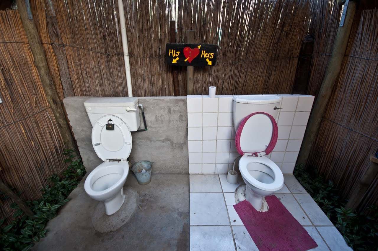 His and hers toilet