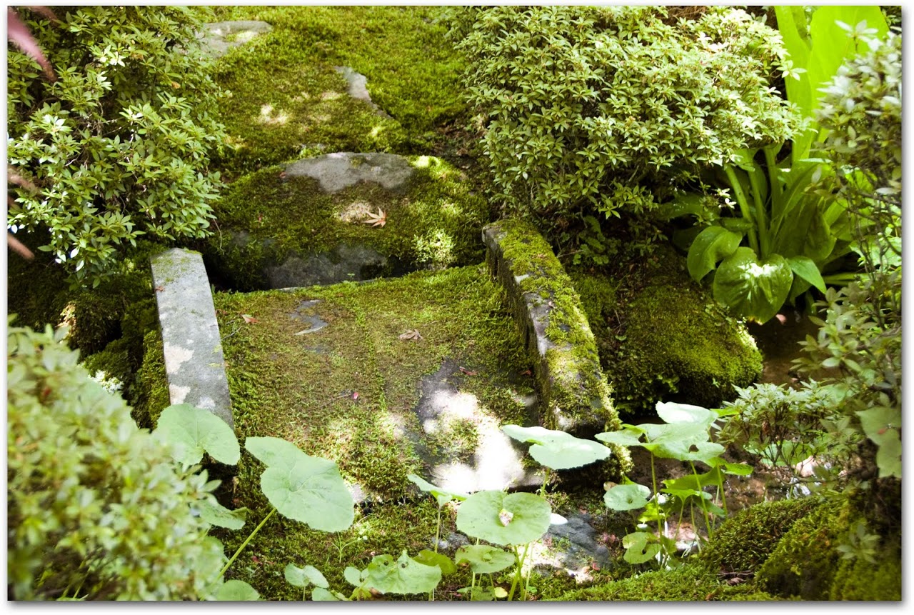 Garden in bridge Rinno-ji Temple
