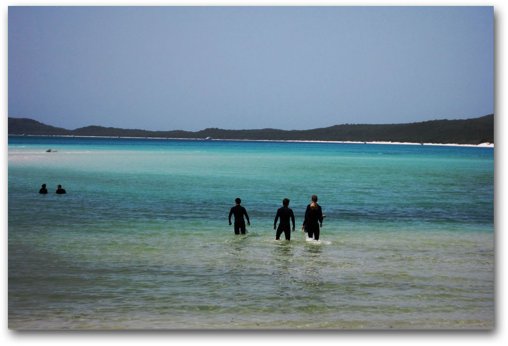 Swimmers at Whitehaven Beach