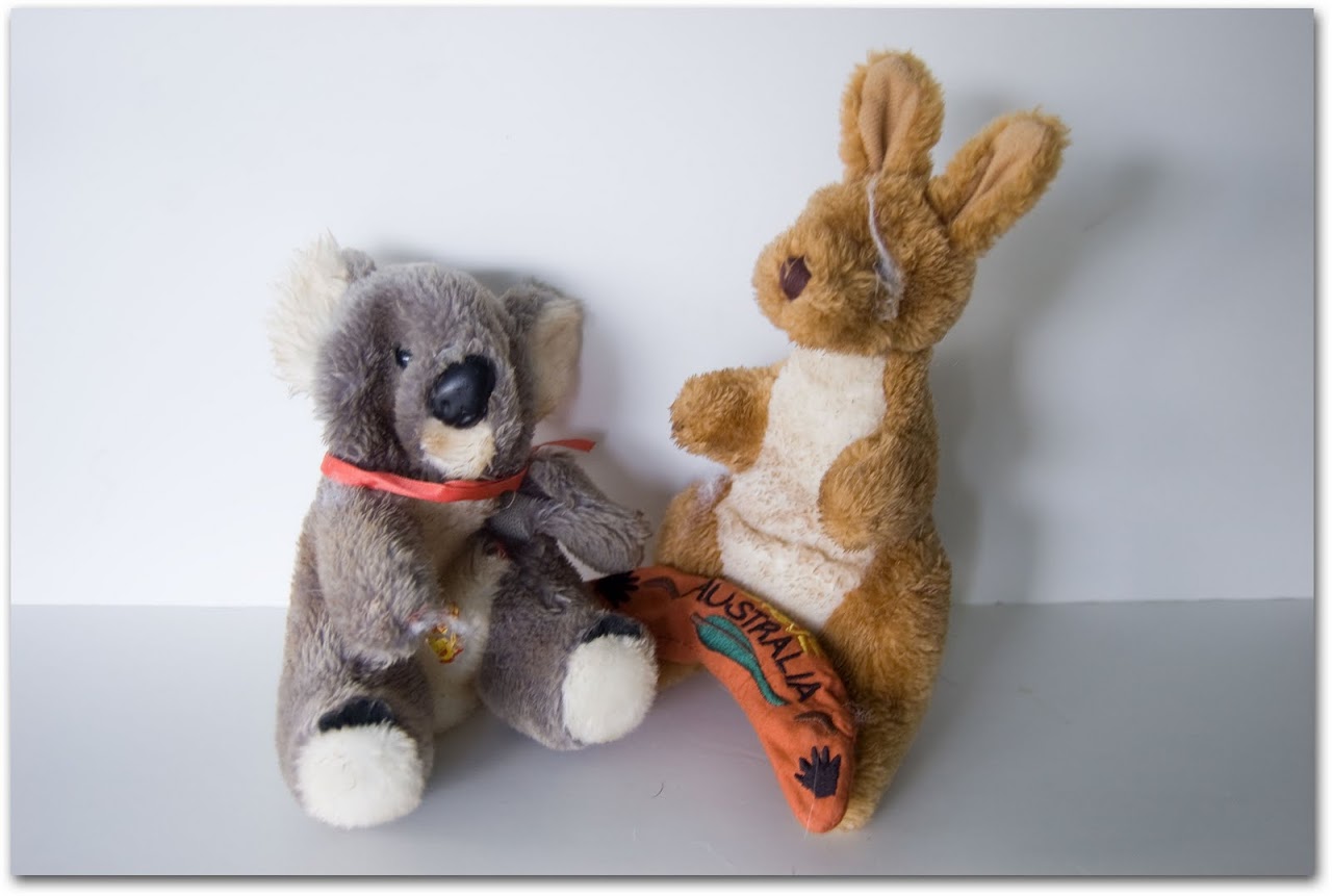 Kangaroo and koala toy