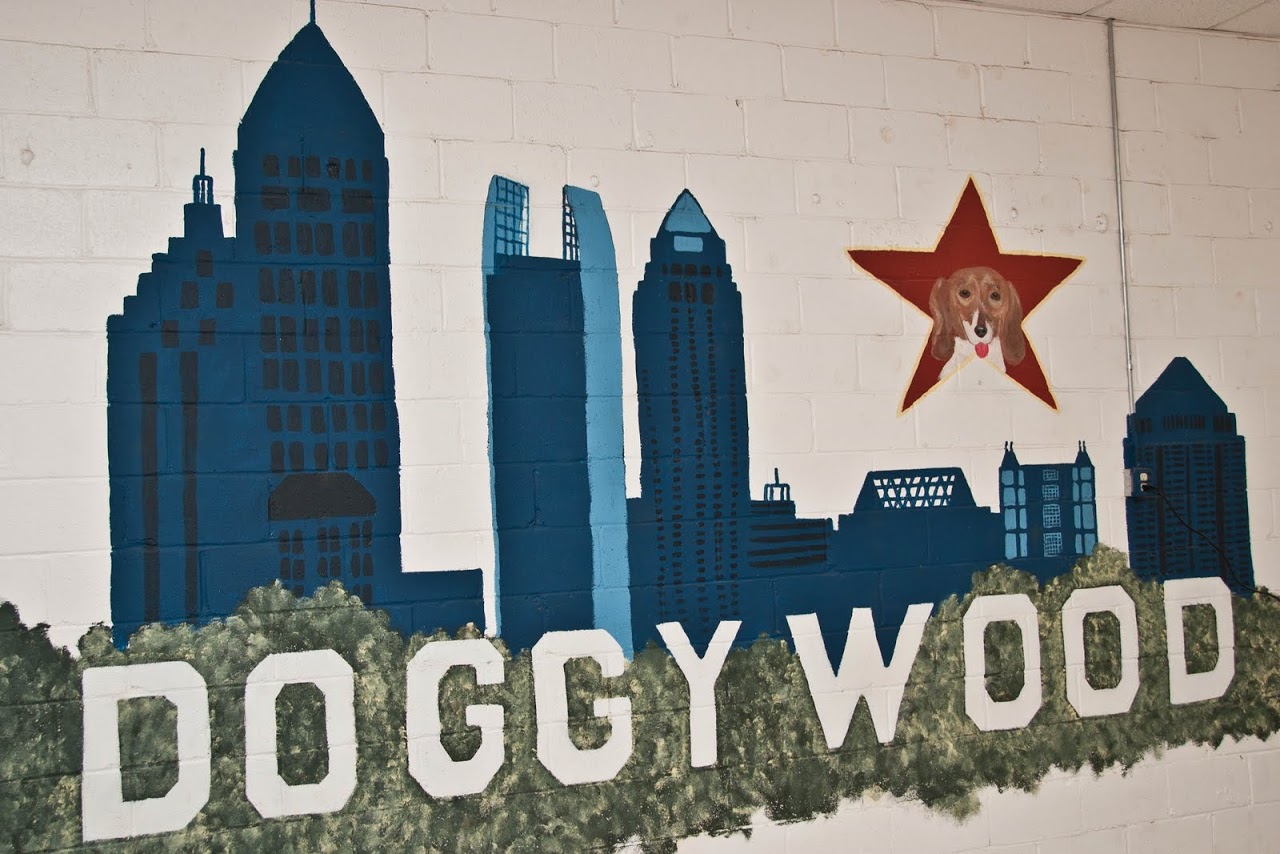 Doggywood Atlanta Dog Spa