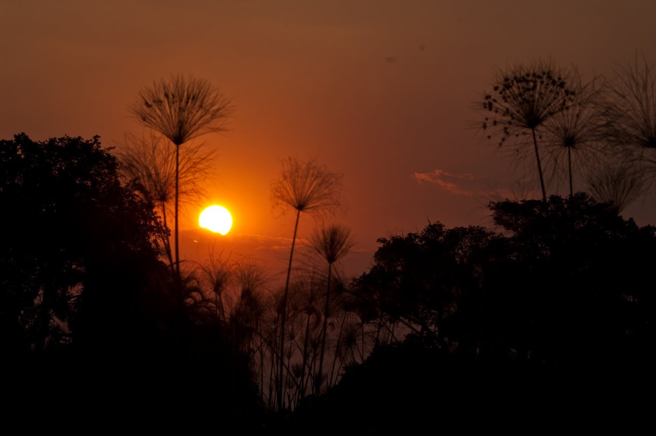 Sunset at Okavango Delta