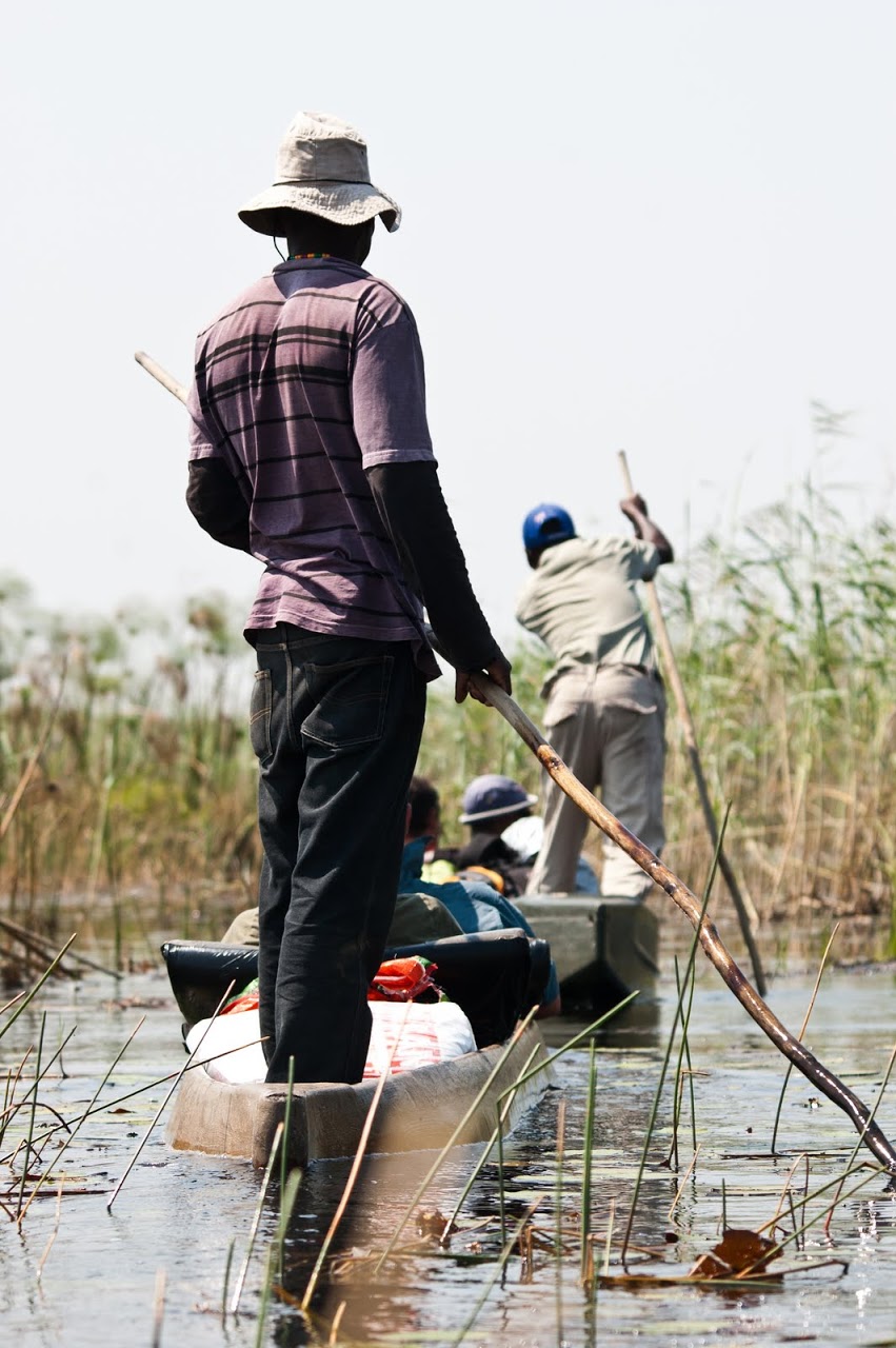 Poling in the Okavango