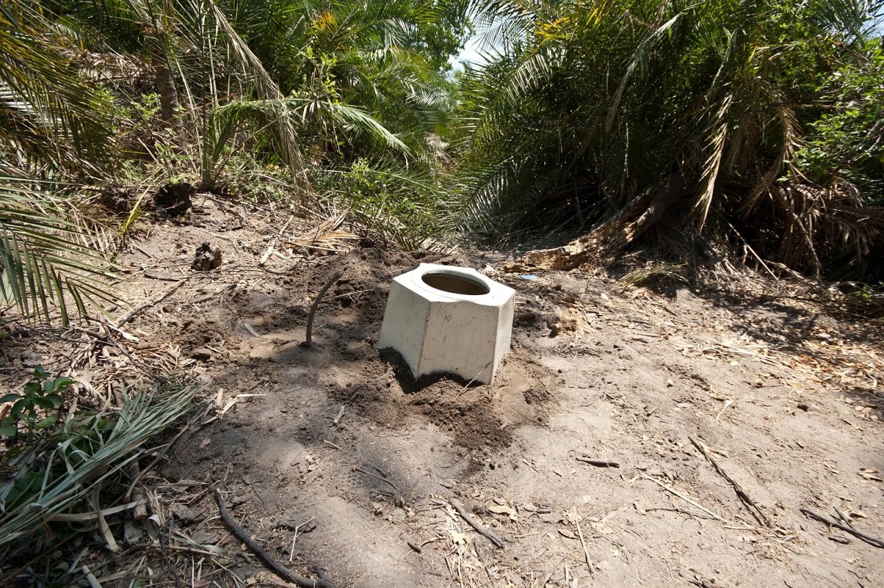 Bush toilet