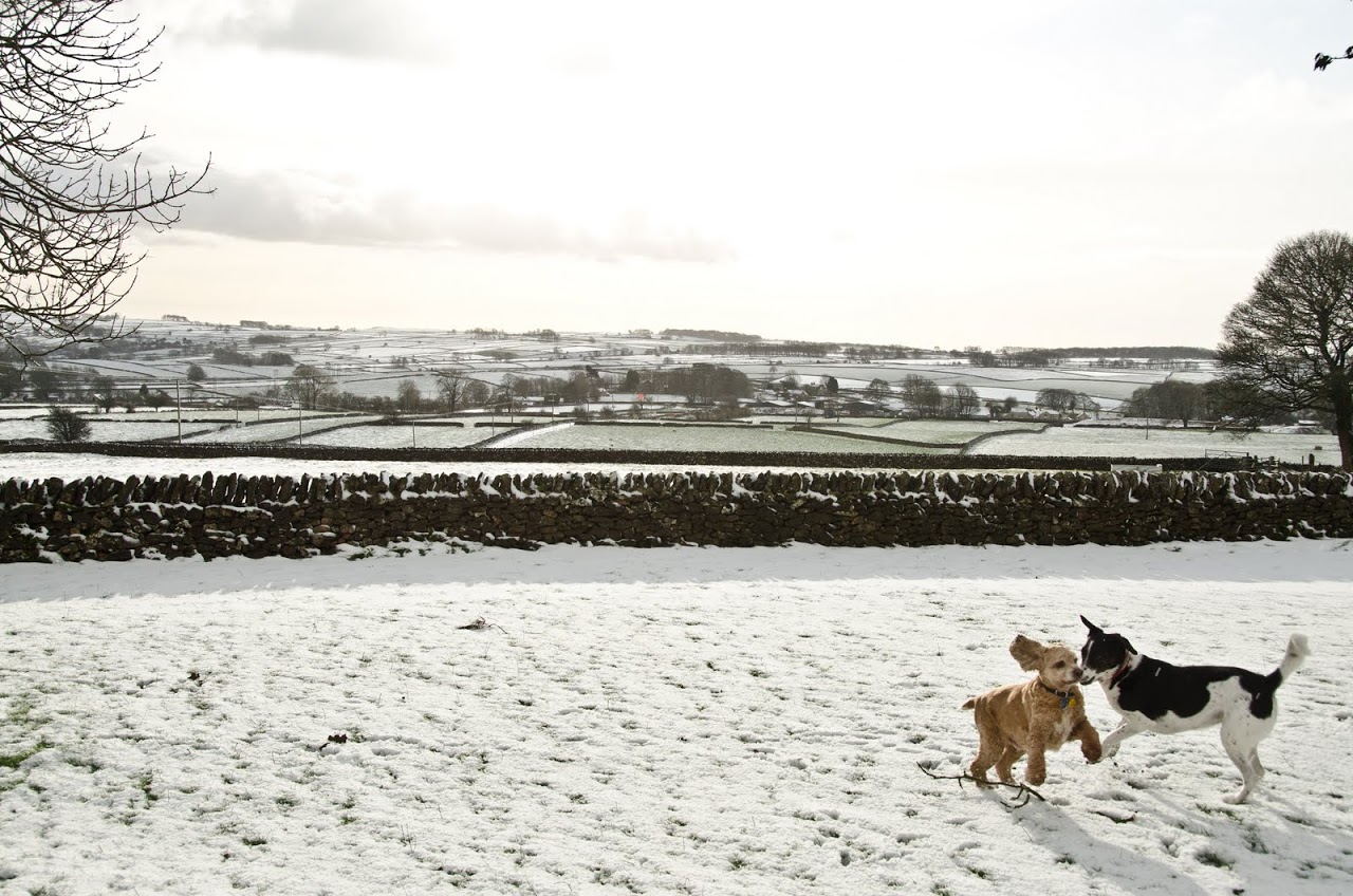 Playing in the snow in the Peak District