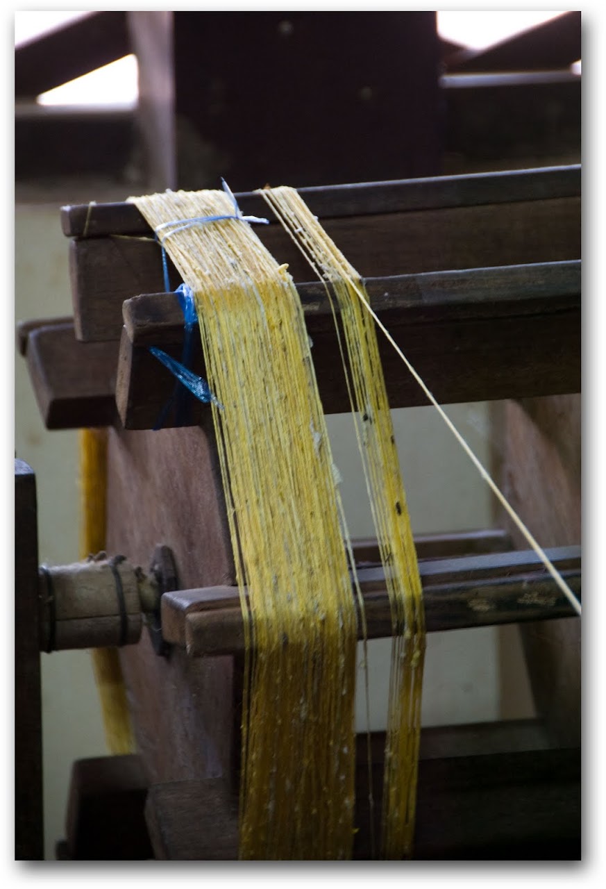 Silk thread extracted