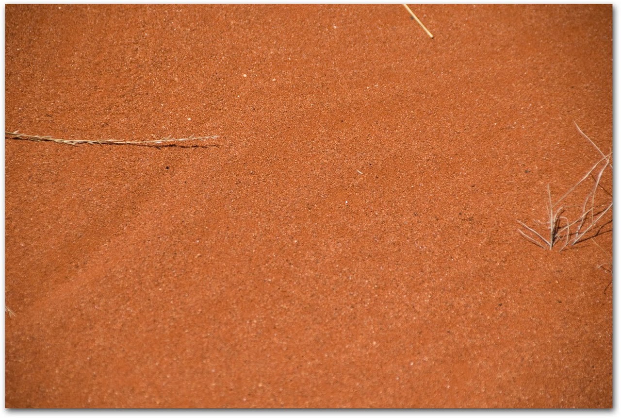 Red sand in Red Centre