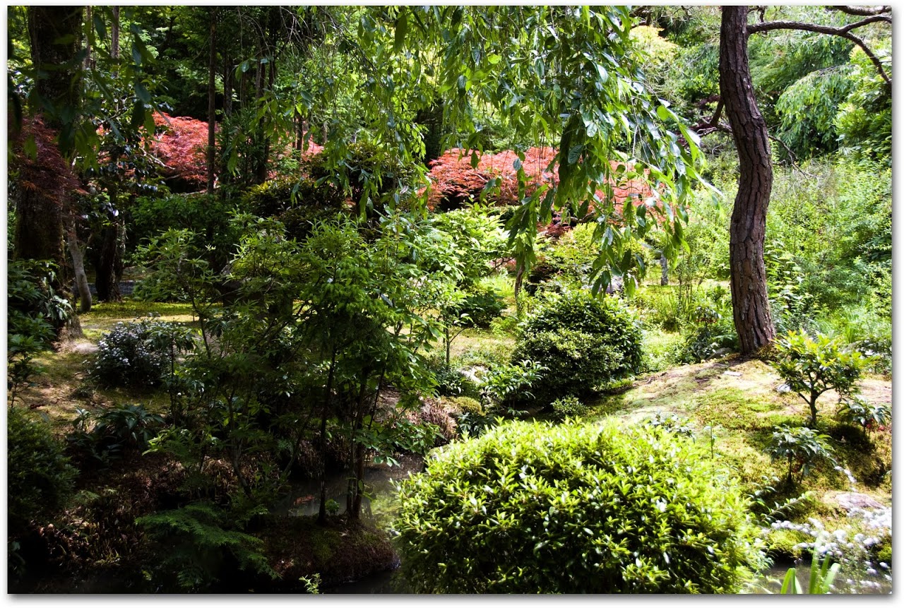 Ryoanji garden for dining area