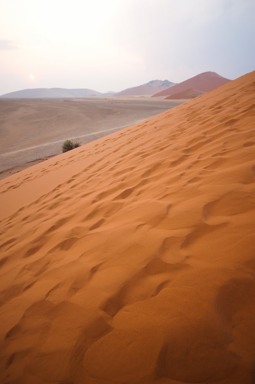 Dunes Namib desert